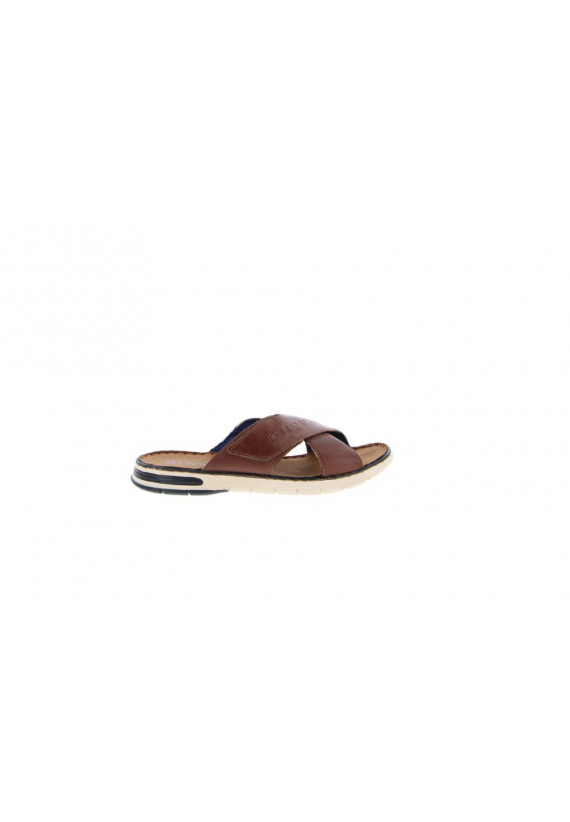 DARIO 311-A3282