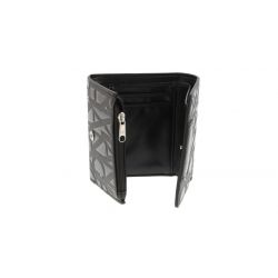 LIZ PATENT XW001595 AF17290
