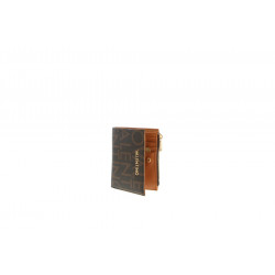 REGINA RE 255
