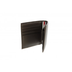 AMOAM147790HD TH CORP CC AND COIN