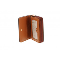 TULIP M43709-903